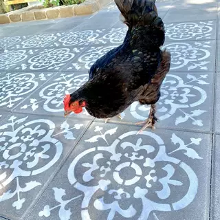 Ein Huhn steht auf einem mit einer Ornament-Schablone Boden