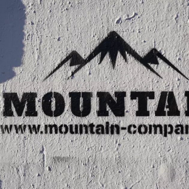 Logo with internet address sprayed on wall