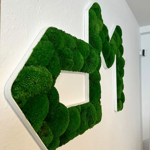 mit Kugel- oder Islandmoos