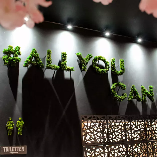 mit Kugel- oder Islandmoos