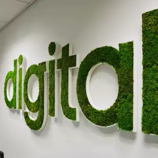 Ein 3D Mooslogo mit der Aufschrift Digital hängt an einer Wand